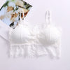 Hot sexy women bra Summer 2019 fashion Sheer Lace floral Bralette Bras Girls Strappy lingerie bra underwear sweet wire free Bra