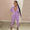 2021 New Style Women Solid Color One Piece Jumpsuit Ladies Zipper Front Long Sleeve Fitness Rompers Playsuits Plus Size Bodysuit